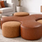 The Cucoon Lounge Chair