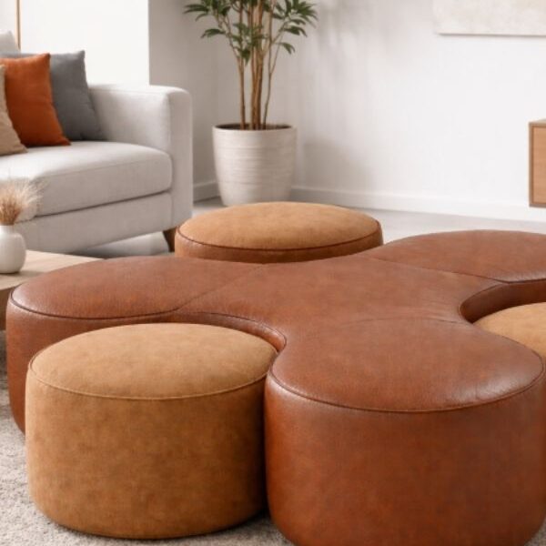 The Cucoon Lounge Chair